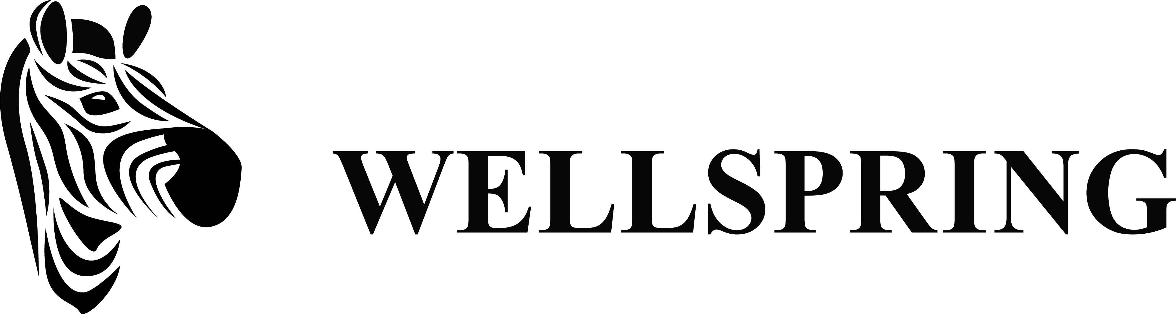 Wellspring Nonprofit Corporation